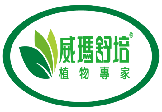 66BD7796B4B1B4839DBACE3F20CF3485